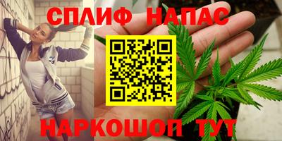 стаф Долгопрудный