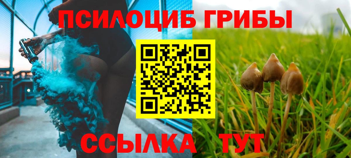 Псилоцибиновые грибы Psilocybe  Вход с VPN  Бийск 